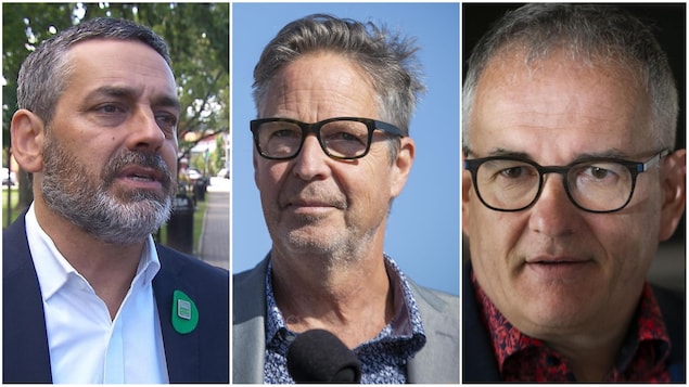 Pierre Nantel (Parti vert), Éric Ferland (Nouveau Parti démocratique) et Réjean Hébert (Parti libéral du Canada) se présentent tous dans la circonscription Longueuil—Saint-Hubert.