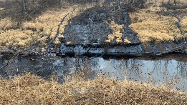 TC Énergie affirme avoir récupéré tout le pétrole déversé au Kansas