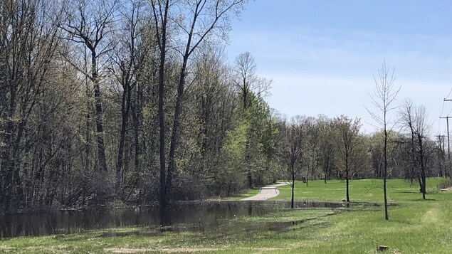 Une piste cyclable recouverte d'eau. Une piste cyclable recouverte d'eau.