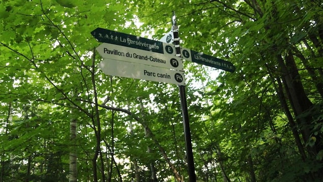 Un panneau indique la direction à emprunter pour suivre la piste « La Persévérante ».
