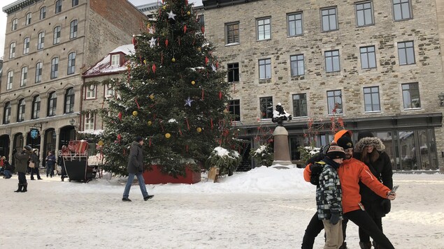 Un sapin de Noël orne la place Royale.