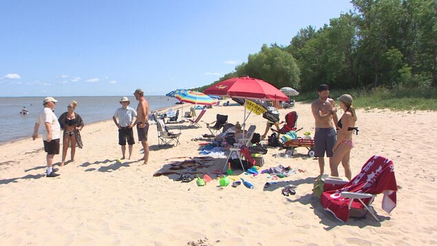 Des baigneurs sur une plage.