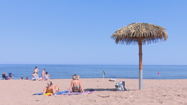 On voit une palapa sur une plage et la mer devant. On voit une palapa sur une plage et la mer devant.