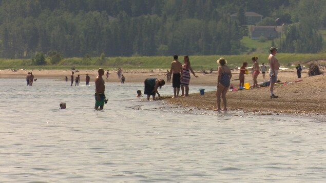 Plage avec des baigneurs Plage avec des baigneurs