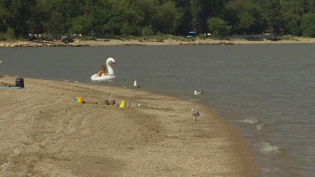 Fermeture de la plage Spruce Sands, près de Gimli, en raison de la bactérie E. coli