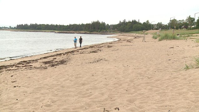 Une plage donnant sur une baie. Deux personnes y marchent.