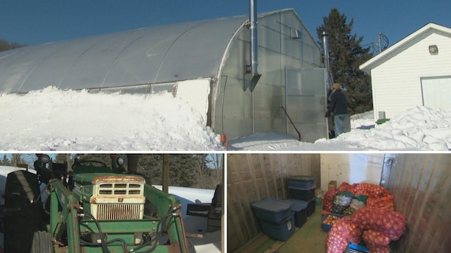Montage photo : une serre en hiver, un tracteur et des oignons conservés dans une chambre froide.