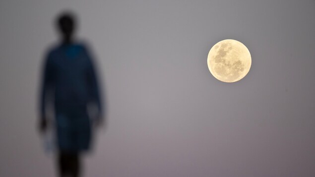 Un rond lumineux, la Lune, est photographié dans le ciel. La silhouette d'une personne est vue à gauche de l'astre. Un rond lumineux, la Lune, est photographié dans le ciel. La silhouette d'une personne est vue à gauche de l'astre.