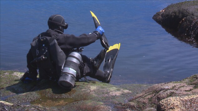 Un plongeur se préparant à sauter à l'eau