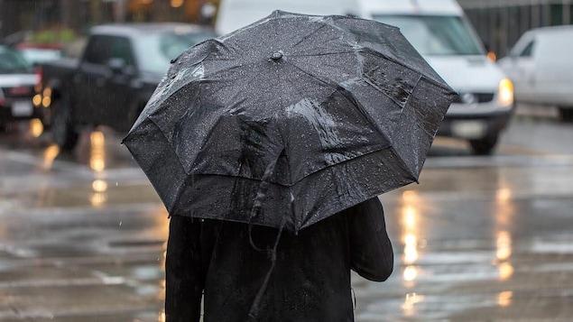 Une personne tient un parapluie dans la rue.