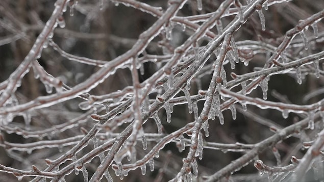 Multiples pannes de courant après une tempête de verglas en Nouvelle-Écosse