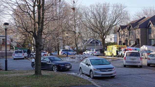 Des voitures de police, une ambulance et des voitures dans une rue bordée d'arbres et de maisons.