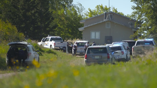 De nombreuses voitures de police entourent une maison dans la Nation crie James Smith, en Saskatchewan, où le suspect d'une série d'attaques au couteau aurait été aperçu le 6 septembre 2022.