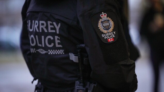 Le logo de la police de Surrey sur l'uniforme d'un de ses membres (octobre 2022).