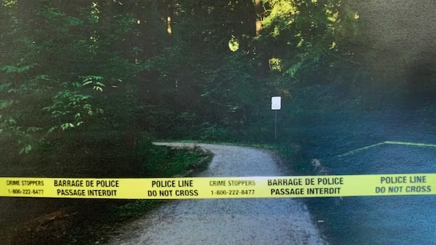 B.C. police secretly took DNA from Kurdish community in tea cup sting to help solve murder: court recordings - Vimarsana News