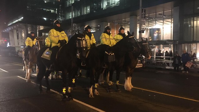 Maple Site De Rencontres