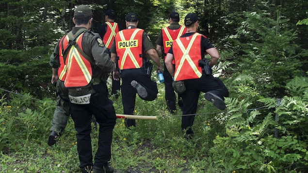 Des policiers effectuent des recherches en forêt.