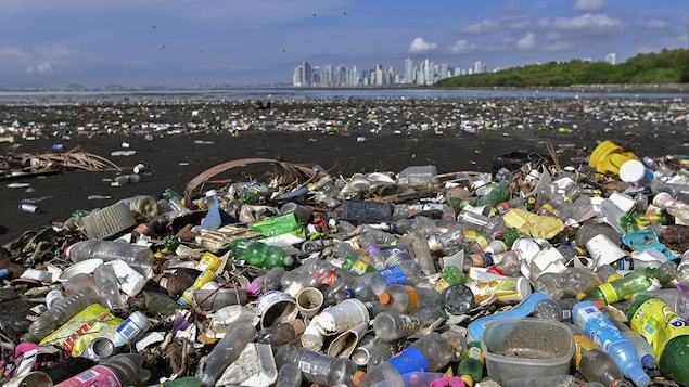 Des détritus de plastique sur une plage