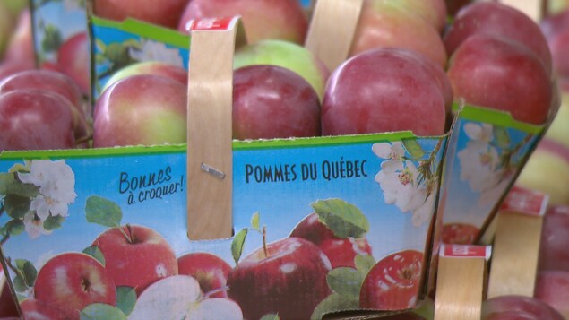 Des pommes du Québec. Des pommes du Québec.