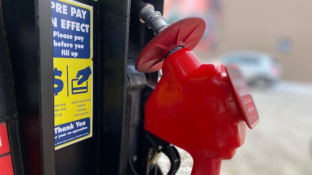 Gasoline prices contributed the most to the March inflation rate, according to Statistics Canada.