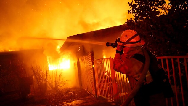 L'incendie de forêt L'incendie de forêt