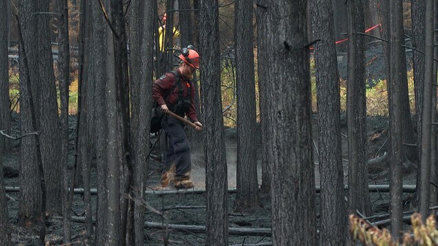Des pompiers forestiers de la base de Roberval envoyés en renfort en Alberta