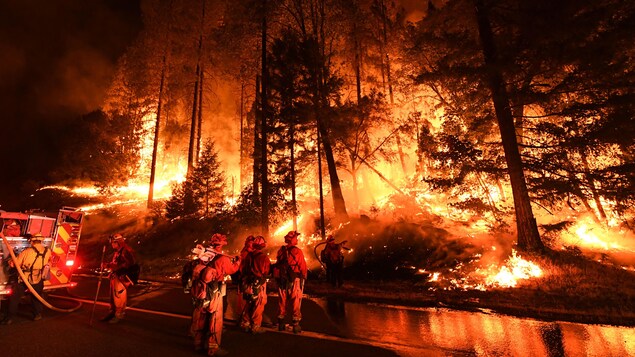Plusieurs pompiers sur la route essayent de maîtriser les flammes provenant de la forêt