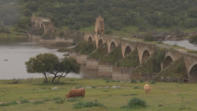 Le pont d'Ajuda près d'Elvas au Portugal et la rivière Guadiana.