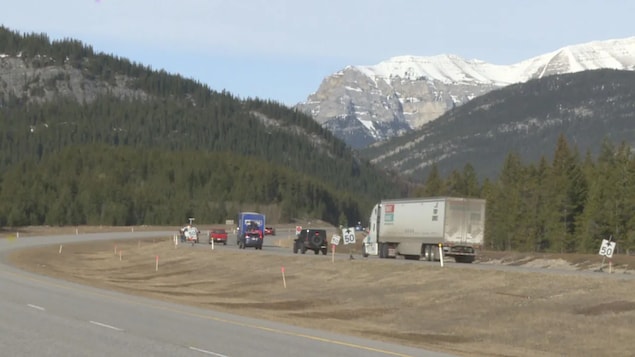 Un premier pont pour animaux hors d’un parc national enjambera la Transcanadienne