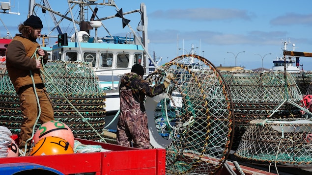 La pêche au crabe des neiges commencera mercredi matin dans la zone 12