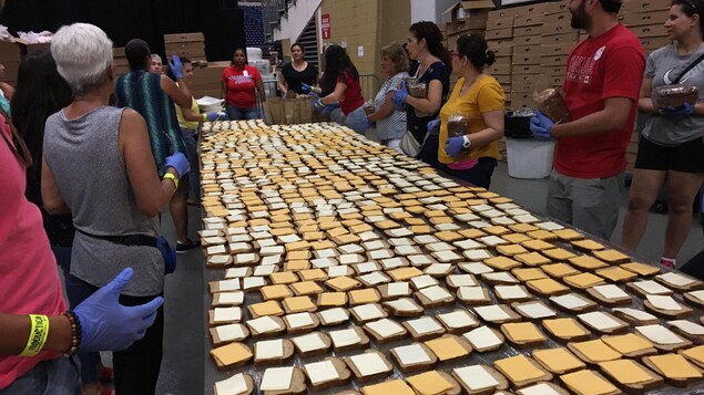 Des centaines de sandwichs Des centaines de sandwichs