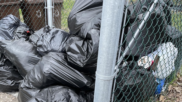 Sac de poubelles dans l'arrondissement Mercier-Hochelaga-Maisonneuve, à Montréal.