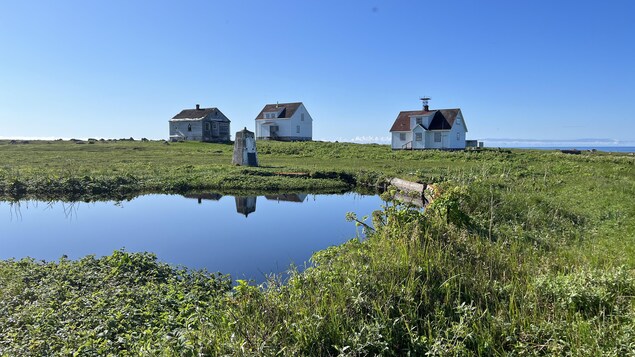 Trois maisons se dressent sur l'Île verte.