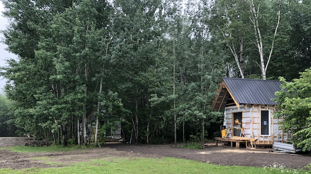 Deux chalets sont entourés d'arbre.