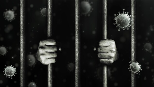 Un montage en noir et blanc montrant deux mains autour de barreaux de prison. En arrière-plan, des icônes représentant le virus.