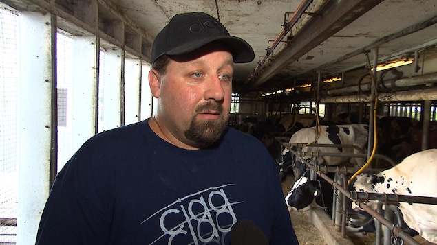 Un producteur laitier dans sa ferme avec, en arrière plan, des vaches.