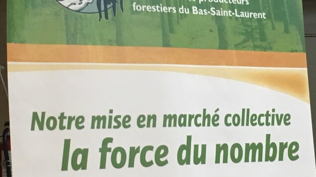 Projection lors d'une rencontre du Syndicat des producteurs forestiers du Bas-Saint-Laurent Projection lors d'une rencontre du Syndicat des producteurs forestiers du Bas-Saint-Laurent