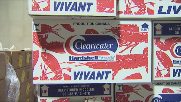 Des boîtes de homard prêtes à être expédiées.