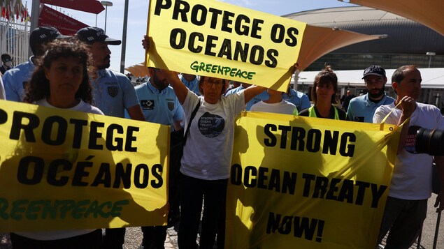 Les grands fonds marins suscitent convoitise et inquiétude