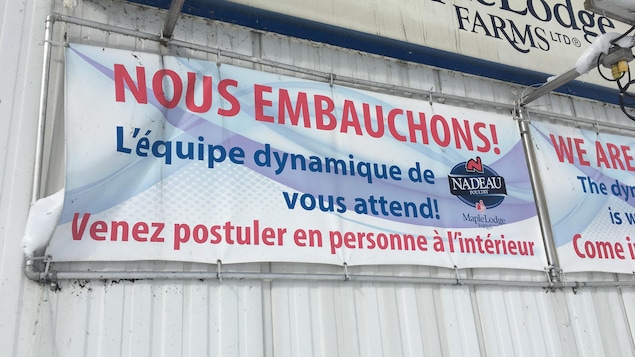 Une affiche indiquant une possibilité d'embauche chez Nadeau Ferme Avicole.