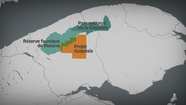 Les levés sismiques seront réalisés sur le site pour lequel le permis d'exploration a été baptisé « Gaspésia », qui chevauche la réserve faunique de Matane. Les levés sismiques seront réalisés sur le site pour lequel le permis d'exploration a été baptisé « Gaspésia », qui chevauche la réserve faunique de Matane.