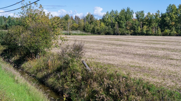 Les Algonquins de l’Ontario ne sont pas propriétaires majoritaires du projet Tewin