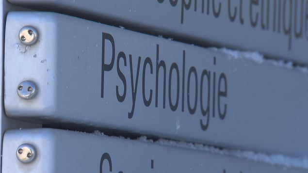 Pénurie de psychologues : la demande explose, mais l’accès au doctorat se resserre