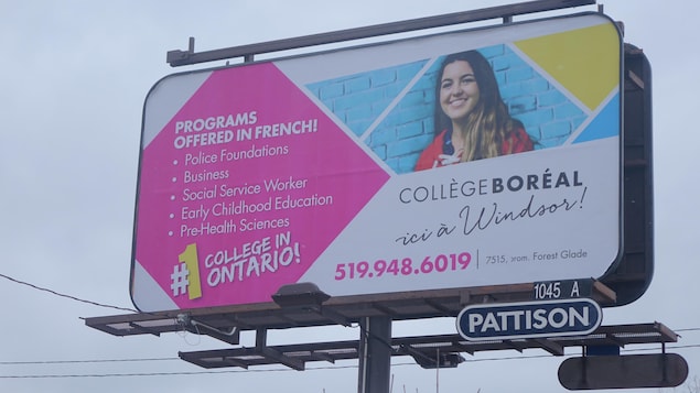 Les inscriptions en chute libre au campus du Collège Boréal de Windsor