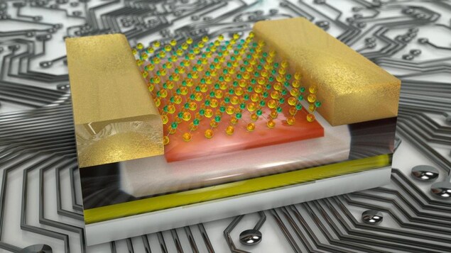 Un circuit électronique à deux têtes.