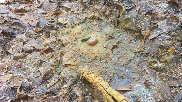 Le puits P.O.T. numéro 16, situé en Gaspésie, laisse échapper des odeurs d'hydrocarbures, et des traces de produits ont été observées dans une marre d'eau et de boue relativement profonde. Le puits P.O.T. numéro 16, situé en Gaspésie, laisse échapper des odeurs d'hydrocarbures, et des traces de produits ont été observées dans une marre d'eau et de boue relativement profonde.