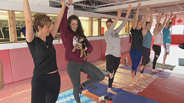 Une femme tient un chiot en prenant une pose de yoga. Une femme tient un chiot en prenant une pose de yoga.