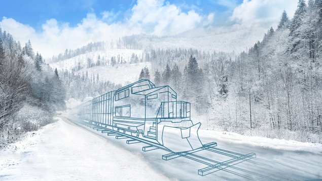 Dessin d'un train en marche dans une forêt.