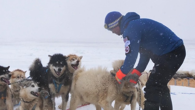 Le mot en inuktitut « qimmiit » et sa traduction chiens de traîneau au pluriel, écris sur une photo de Devon Manik avec ses chiens de traîneau, au mois de juin à Resolute Bay, dans le nord du Nunavut.