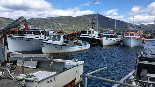 Des navires de pêche n'auront plus à s'amarrer côte à côte après la réfection du quai. Des navires de pêche n'auront plus à s'amarrer côte à côte après la réfection du quai.